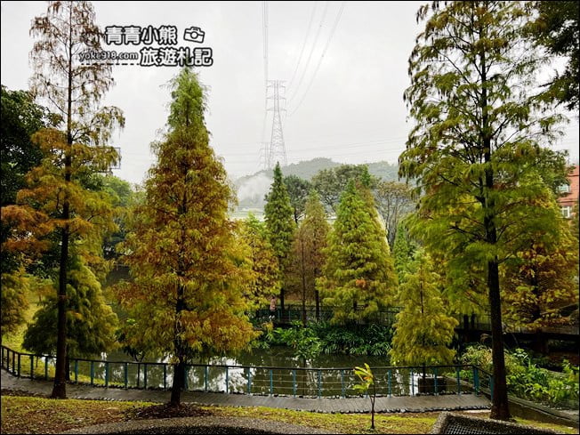 桃園景點》長庚養生村．落羽松湖畔散步去~水上平台木棧道好迷人 @青青小熊＊旅遊札記