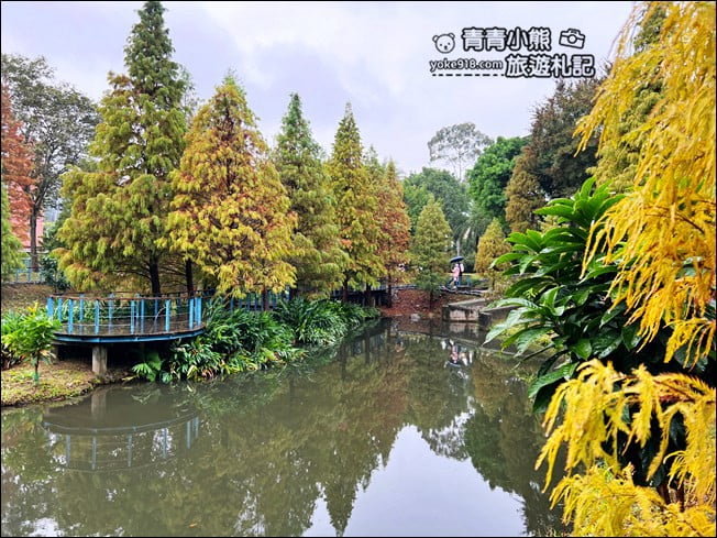 桃園景點》長庚養生村.落羽松湖畔散步去~水上平台木棧道好迷人 @青青小熊*旅遊札記 桃園景點》長庚養生村.落羽松湖畔散步去~水上平台木棧道好迷人 @青青小熊*旅遊札記