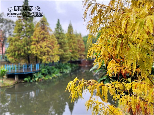 桃園景點》長庚養生村.落羽松湖畔散步去~水上平台木棧道好迷人 @青青小熊*旅遊札記 桃園景點》長庚養生村.落羽松湖畔散步去~水上平台木棧道好迷人 @青青小熊*旅遊札記