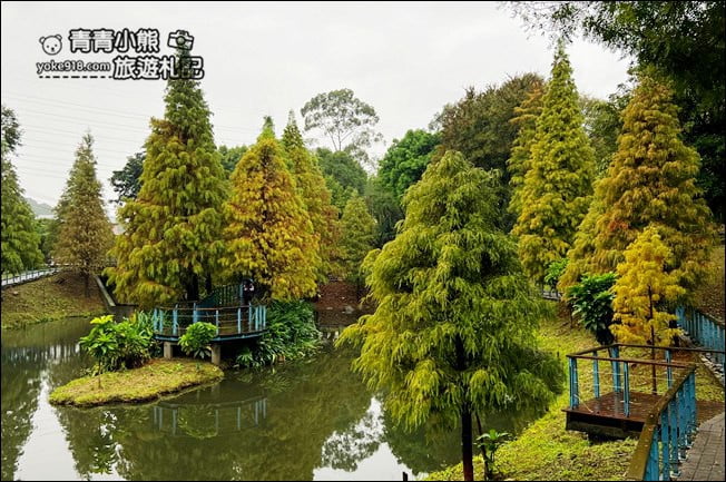 桃園景點》長庚養生村.落羽松湖畔散步去~水上平台木棧道好迷人 @青青小熊*旅遊札記 桃園景點》長庚養生村.落羽松湖畔散步去~水上平台木棧道好迷人 @青青小熊*旅遊札記
