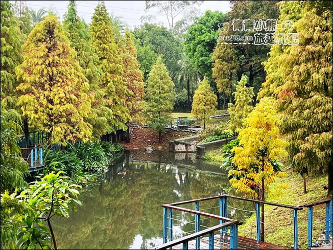 桃園景點》長庚養生村.落羽松湖畔散步去~水上平台木棧道好迷人 @青青小熊*旅遊札記 桃園景點》長庚養生村.落羽松湖畔散步去~水上平台木棧道好迷人 @青青小熊*旅遊札記