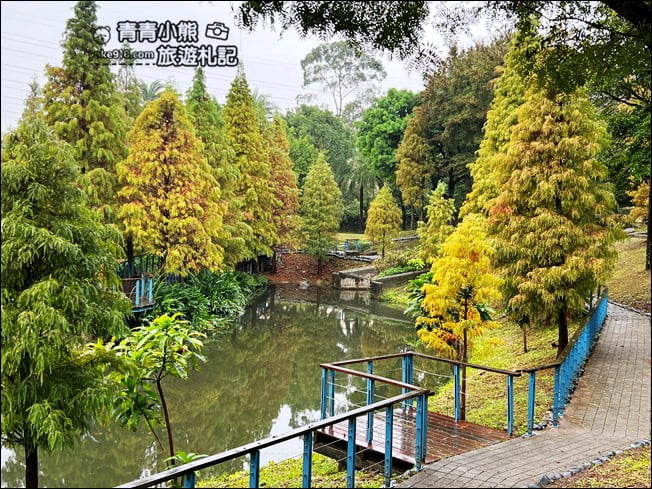 桃園景點》長庚養生村.落羽松湖畔散步去~水上平台木棧道好迷人 @青青小熊*旅遊札記 桃園景點》長庚養生村.落羽松湖畔散步去~水上平台木棧道好迷人 @青青小熊*旅遊札記