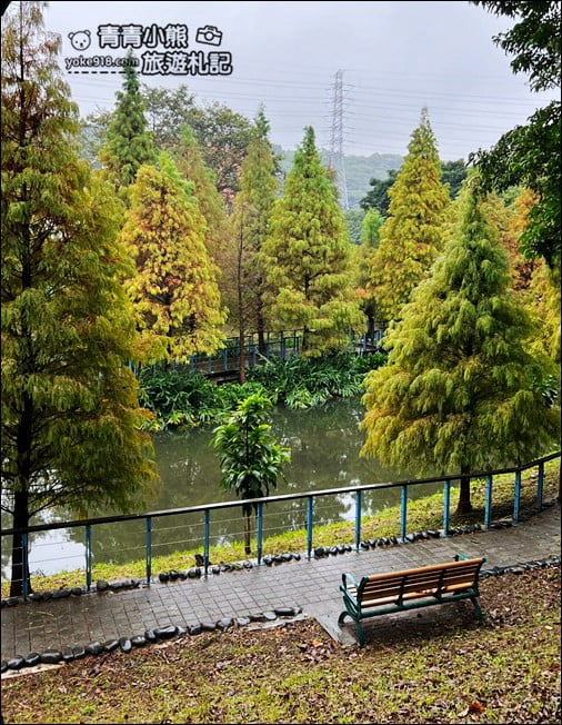 桃園景點》長庚養生村.落羽松湖畔散步去~水上平台木棧道好迷人 @青青小熊*旅遊札記 桃園景點》長庚養生村.落羽松湖畔散步去~水上平台木棧道好迷人 @青青小熊*旅遊札記