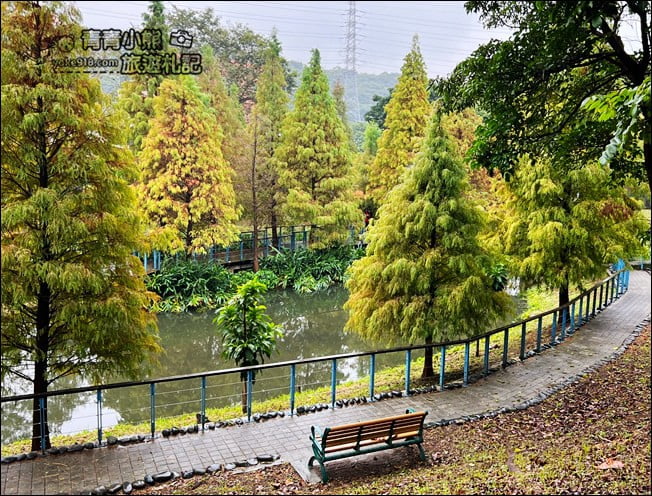 桃園景點》長庚養生村.落羽松湖畔散步去~水上平台木棧道好迷人 @青青小熊*旅遊札記 桃園景點》長庚養生村.落羽松湖畔散步去~水上平台木棧道好迷人 @青青小熊*旅遊札記