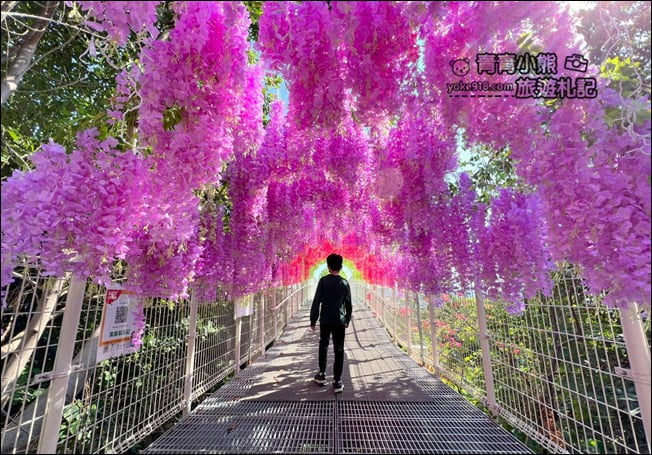 彰化》2022月影燈季新燈飾搶先看．最新拍照亮點~還有紫色瀑布花海走廊好吸睛 @青青小熊＊旅遊札記