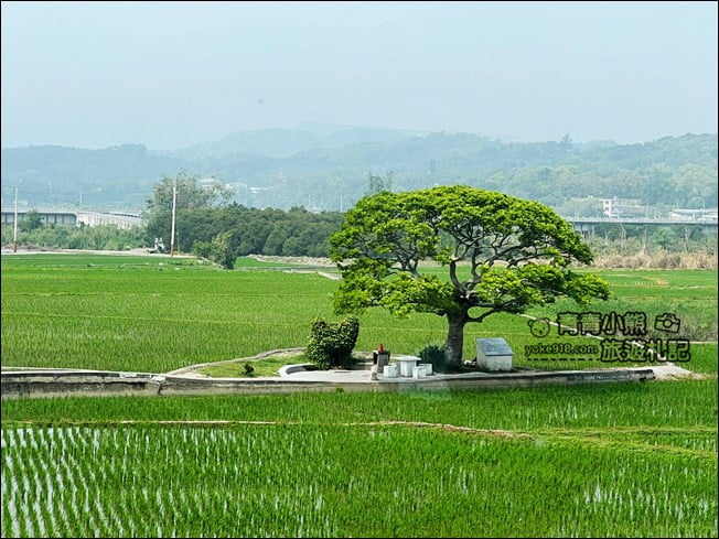 苗栗景點》銅鑼窯.苗栗銅鑼出現龍貓車站~還有土地公也太可愛了 @青青小熊*旅遊札記 苗栗景點》銅鑼窯.苗栗銅鑼出現龍貓車站~還有土地公也太可愛了 @青青小熊*旅遊札記