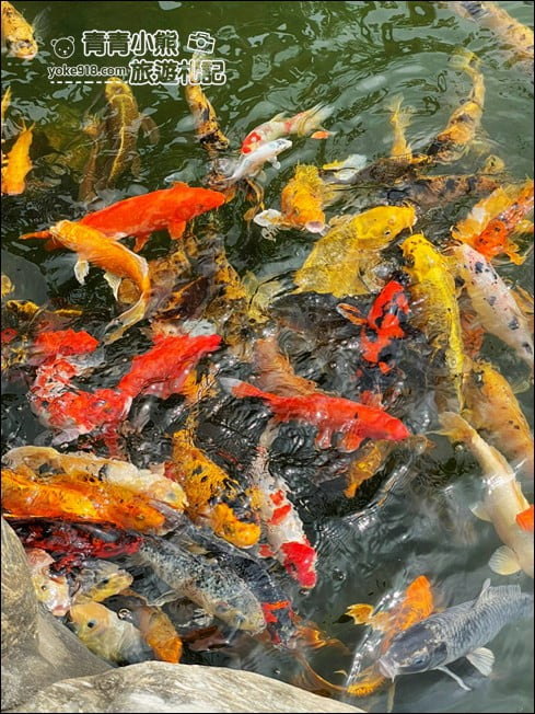 苗栗景點》綺緣樟腦精油觀光工場．甕牆，庭院好好拍~順遊景點推薦 @青青小熊＊旅遊札記