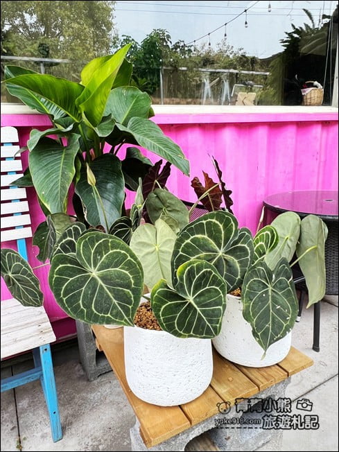 雲林景點》隱身西螺角落很美cafe.好像來到秘境小花園 @青青小熊*旅遊札記 雲林景點》隱身西螺角落很美cafe.好像來到秘境小花園 @青青小熊*旅遊札記