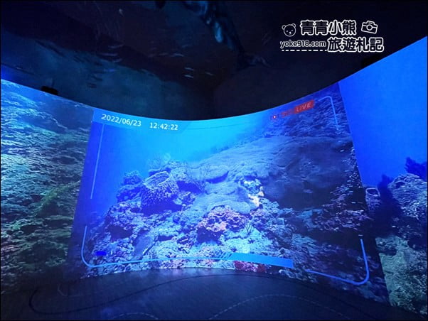 基隆景點》潮境智能海洋館.有未來感的海洋館~還有漂浮咖啡廳 @青青小熊*旅遊札記 基隆景點》潮境智能海洋館.有未來感的海洋館~還有漂浮咖啡廳 @青青小熊*旅遊札記