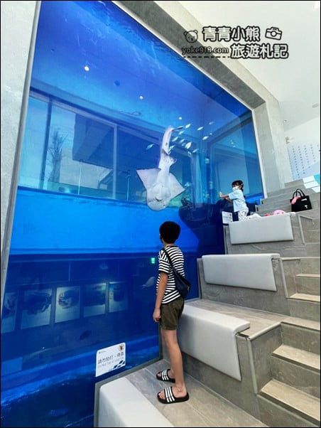 基隆景點》潮境智能海洋館.有未來感的海洋館~還有漂浮咖啡廳 @青青小熊*旅遊札記 基隆景點》潮境智能海洋館.有未來感的海洋館~還有漂浮咖啡廳 @青青小熊*旅遊札記