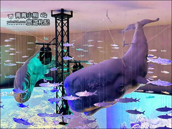 基隆景點》潮境智能海洋館.有未來感的海洋館~還有漂浮咖啡廳 @青青小熊*旅遊札記 基隆景點》潮境智能海洋館.有未來感的海洋館~還有漂浮咖啡廳 @青青小熊*旅遊札記