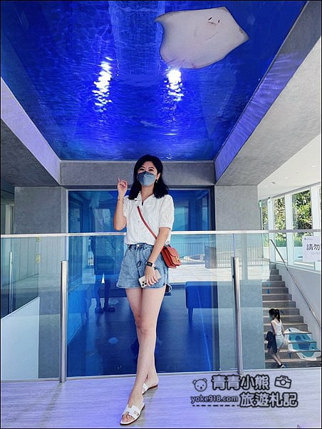 基隆景點》潮境智能海洋館．有未來感的海洋館~還有漂浮咖啡廳 @青青小熊＊旅遊札記