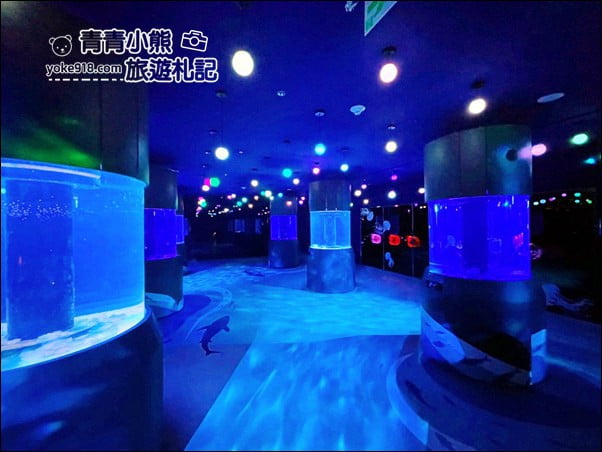 基隆景點》潮境智能海洋館.有未來感的海洋館~還有漂浮咖啡廳 @青青小熊*旅遊札記 基隆景點》潮境智能海洋館.有未來感的海洋館~還有漂浮咖啡廳 @青青小熊*旅遊札記