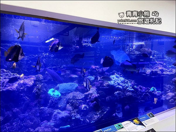 基隆景點》潮境智能海洋館．有未來感的海洋館~還有漂浮咖啡廳 @青青小熊＊旅遊札記