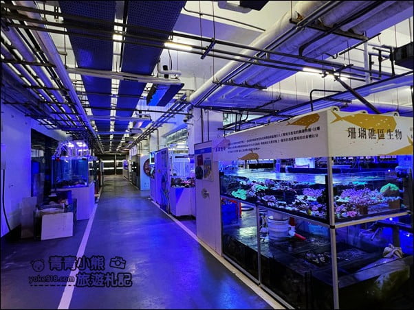 基隆景點》潮境智能海洋館.有未來感的海洋館~還有漂浮咖啡廳 @青青小熊*旅遊札記 基隆景點》潮境智能海洋館.有未來感的海洋館~還有漂浮咖啡廳 @青青小熊*旅遊札記