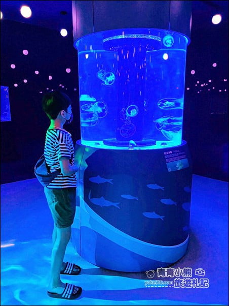 基隆景點》潮境智能海洋館.有未來感的海洋館~還有漂浮咖啡廳 @青青小熊*旅遊札記 基隆景點》潮境智能海洋館.有未來感的海洋館~還有漂浮咖啡廳 @青青小熊*旅遊札記