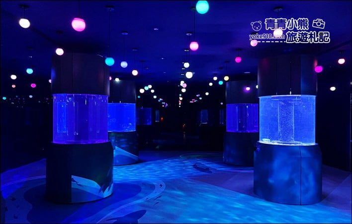 基隆景點》潮境智能海洋館．有未來感的海洋館~還有漂浮咖啡廳 @青青小熊＊旅遊札記