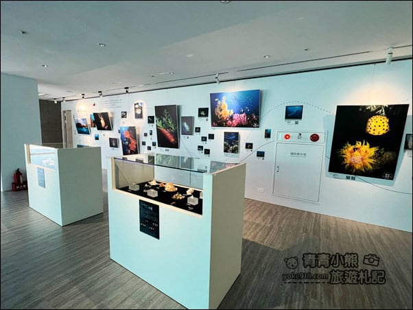基隆景點》潮境智能海洋館．有未來感的海洋館~還有漂浮咖啡廳 @青青小熊＊旅遊札記