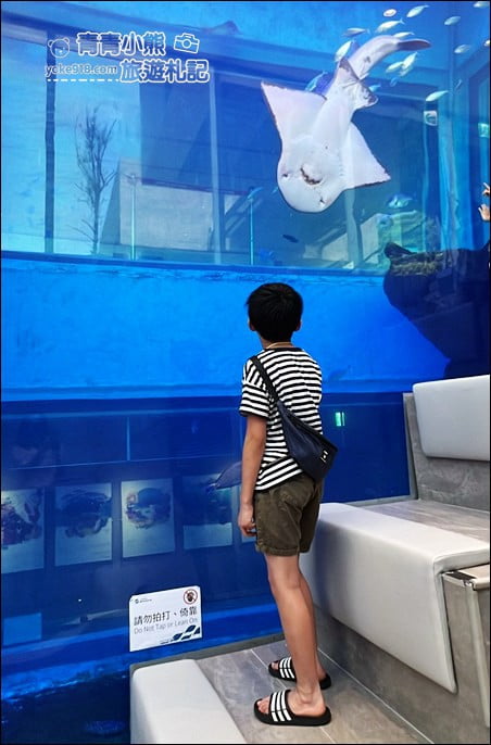 基隆景點》潮境智能海洋館．有未來感的海洋館~還有漂浮咖啡廳 @青青小熊＊旅遊札記