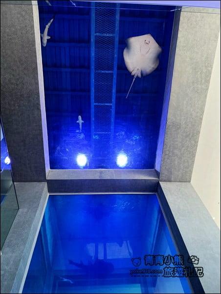 基隆景點》潮境智能海洋館.有未來感的海洋館~還有漂浮咖啡廳 @青青小熊*旅遊札記 基隆景點》潮境智能海洋館.有未來感的海洋館~還有漂浮咖啡廳 @青青小熊*旅遊札記