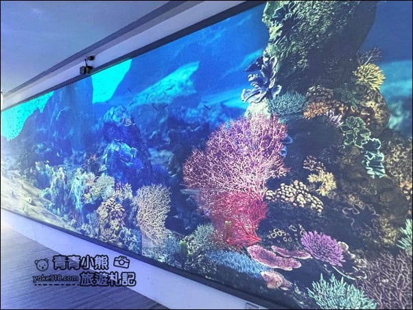 基隆景點》潮境智能海洋館.有未來感的海洋館~還有漂浮咖啡廳 @青青小熊*旅遊札記 基隆景點》潮境智能海洋館.有未來感的海洋館~還有漂浮咖啡廳 @青青小熊*旅遊札記