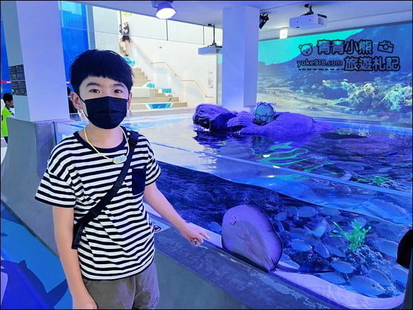 基隆景點》潮境智能海洋館.有未來感的海洋館~還有漂浮咖啡廳 @青青小熊*旅遊札記 基隆景點》潮境智能海洋館.有未來感的海洋館~還有漂浮咖啡廳 @青青小熊*旅遊札記