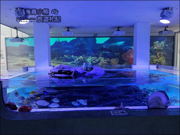 基隆景點》潮境智能海洋館．有未來感的海洋館~還有漂浮咖啡廳 @青青小熊＊旅遊札記
