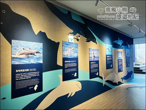 基隆景點》潮境智能海洋館.有未來感的海洋館~還有漂浮咖啡廳 @青青小熊*旅遊札記 基隆景點》潮境智能海洋館.有未來感的海洋館~還有漂浮咖啡廳 @青青小熊*旅遊札記