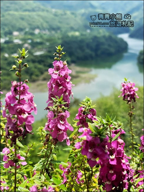 桃園景點》森鄰水岸景觀咖啡廳．情侶約會推薦~湖光山色太迷人 @青青小熊＊旅遊札記