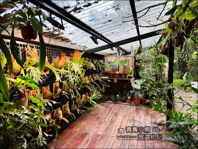 桃園景點》森林中的丸山咖啡.評價4.3分~熱門約會景點 @青青小熊*旅遊札記 桃園景點》森林中的丸山咖啡.評價4.3分~熱門約會景點 @青青小熊*旅遊札記