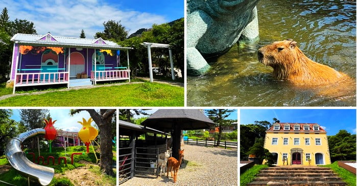 桃園景點》蘇家莊園．彷彿來到小小動物園~還有超可愛水豚君出沒 @青青小熊＊旅遊札記