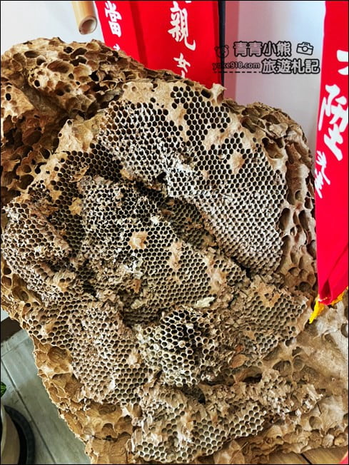 南投景點》蜜蜂王國．立體彩繪好可愛，還有可愛的蜜蜂大公仔 @青青小熊＊旅遊札記