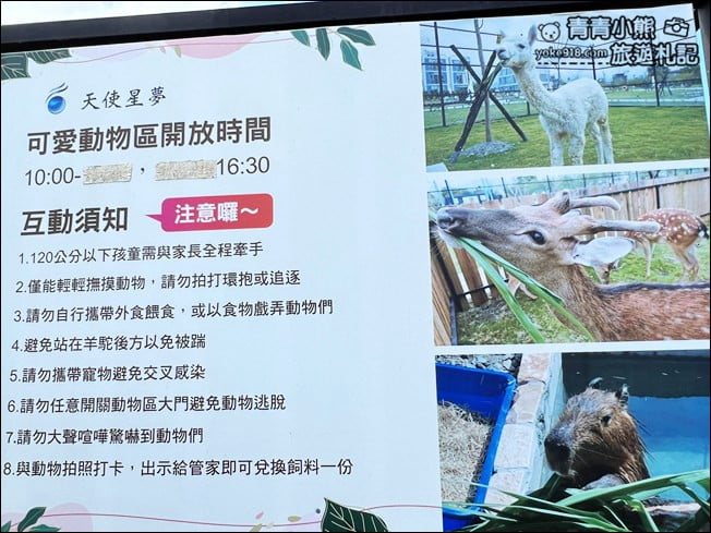 宜蘭新亮點》天使星夢渡假村．下午茶好去處，還有水豚出沒、兒童遊戲區 @青青小熊＊旅遊札記