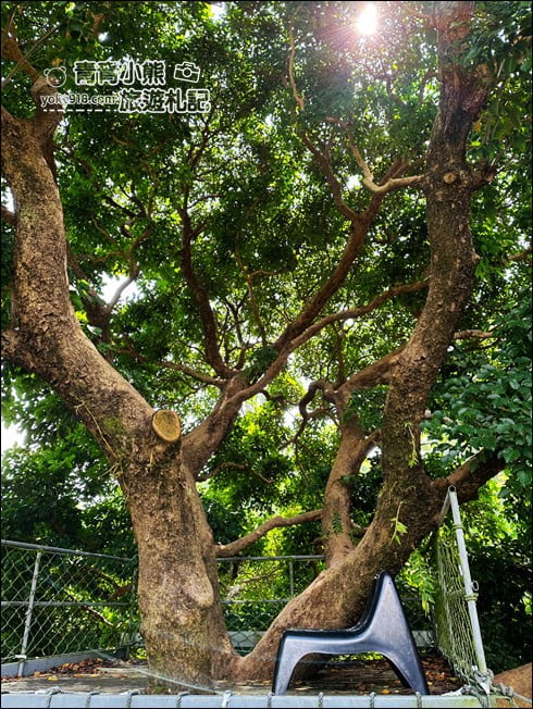 台南景點》隱身山中的窯窯Woody窯烤麵包~楠西隱藏版美食 @青青小熊＊旅遊札記
