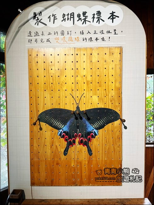南投埔里景點》蝴蝶小鎮生態休閒園區-木生昆蟲博物館.還有巨大昆蟲陪你喝咖啡 @青青小熊*旅遊札記 南投埔里景點》蝴蝶小鎮生態休閒園區-木生昆蟲博物館.還有巨大昆蟲陪你喝咖啡 @青青小熊*旅遊札記