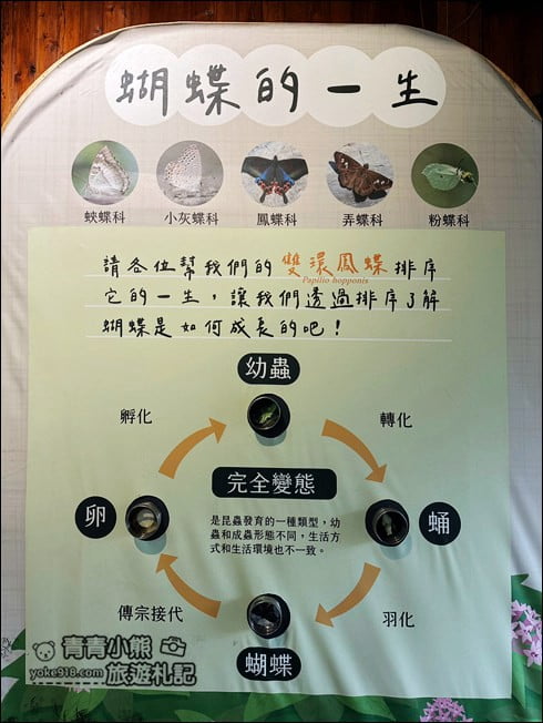 南投埔里景點》蝴蝶小鎮生態休閒園區-木生昆蟲博物館．還有巨大昆蟲陪你喝咖啡 @青青小熊＊旅遊札記