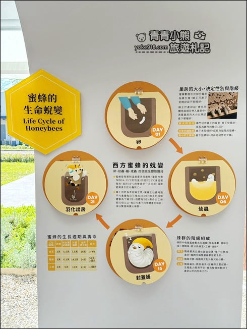 南投景點》賴爺爺蜜蜂小森林,巨大蜜蜂罐好好拍,來找可愛的小蜜蜂們 @青青小熊*旅遊札記 南投景點》賴爺爺蜜蜂小森林,巨大蜜蜂罐好好拍,來找可愛的小蜜蜂們 @青青小熊*旅遊札記