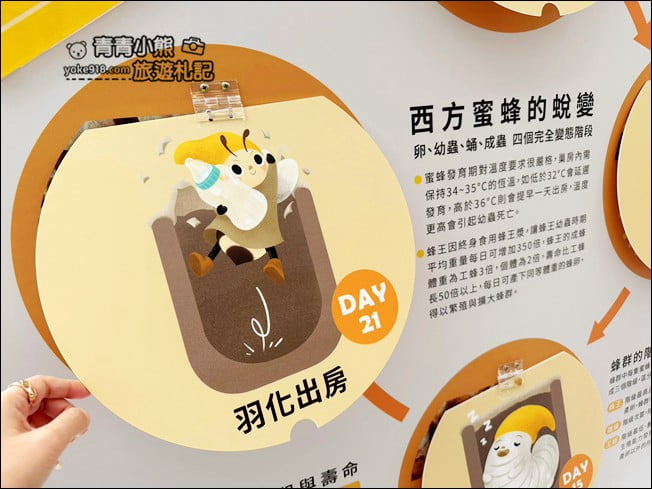 南投景點》賴爺爺蜜蜂小森林,巨大蜜蜂罐好好拍,來找可愛的小蜜蜂們 @青青小熊*旅遊札記 南投景點》賴爺爺蜜蜂小森林,巨大蜜蜂罐好好拍,來找可愛的小蜜蜂們 @青青小熊*旅遊札記