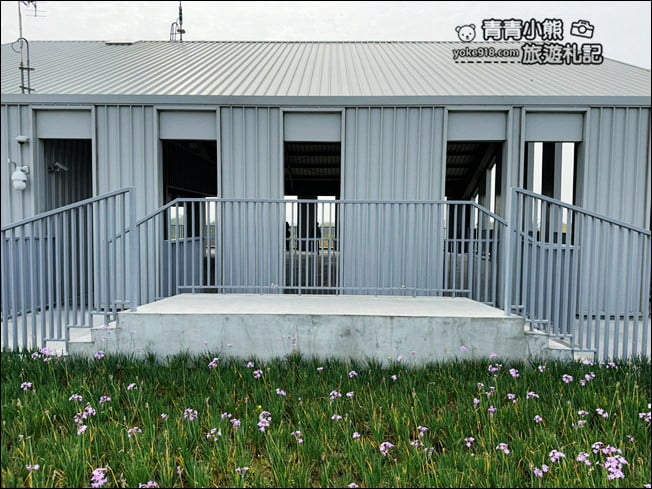 台南景點》新化果菜市場,還有空中大草皮,顛覆傳統新化最美果菜市場 @青青小熊*旅遊札記 台南景點》新化果菜市場,還有空中大草皮,顛覆傳統新化最美果菜市場 @青青小熊*旅遊札記