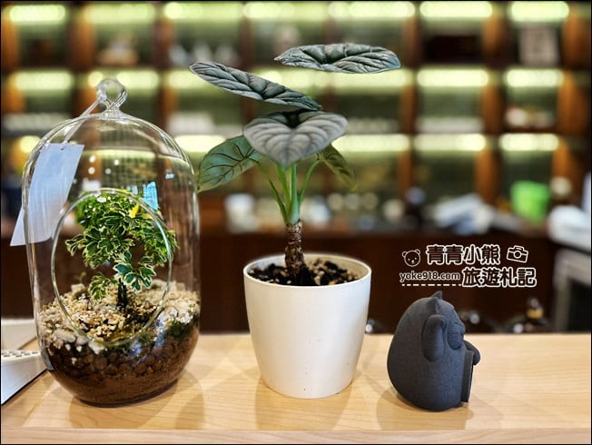台南景點》試茶Tshì Tê~巷弄間的日式文青小茶館,好拍好好吃,哈蜜瓜蛋糕好想吃 @青青小熊*旅遊札記 台南景點》試茶Tshì Tê~巷弄間的日式文青小茶館,好拍好好吃,哈蜜瓜蛋糕好想吃 @青青小熊*旅遊札記