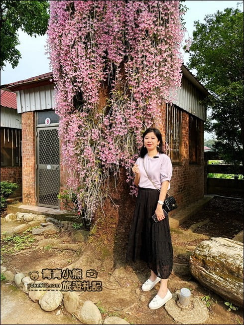嘉義景點》嘉義番路佳鄉庭園石斛蘭花季到~賞粉紅花瀑 @青青小熊＊旅遊札記