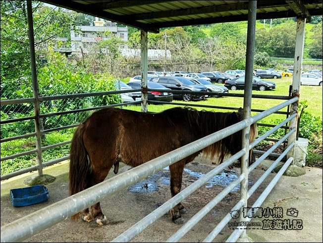 苗栗景點》造橋苗翔農場南瓜隧道,還有超巨大南瓜、可愛南瓜馬車 @青青小熊*旅遊札記 苗栗景點》造橋苗翔農場南瓜隧道,還有超巨大南瓜、可愛南瓜馬車 @青青小熊*旅遊札記