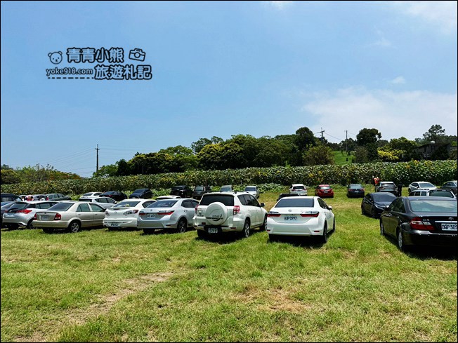 苗栗景點》造橋苗翔農場南瓜隧道,還有超巨大南瓜、可愛南瓜馬車 @青青小熊*旅遊札記 苗栗景點》造橋苗翔農場南瓜隧道,還有超巨大南瓜、可愛南瓜馬車 @青青小熊*旅遊札記
