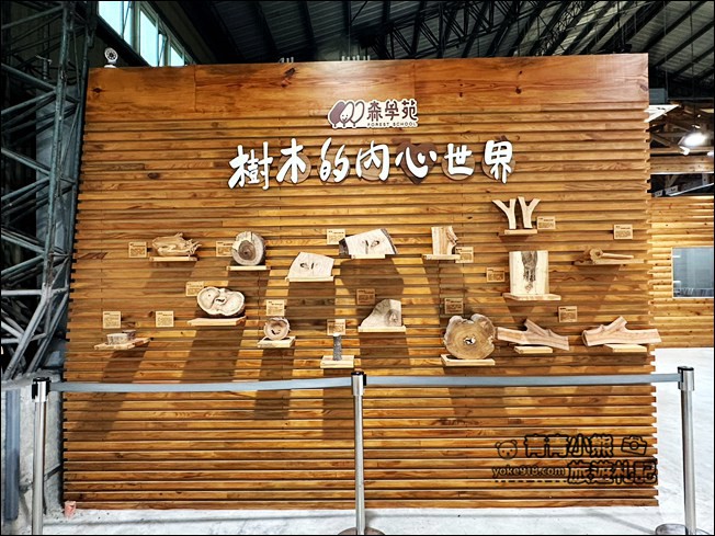 宜蘭景點》蘇澳森學苑巨大紅凳木椅子~還可以認識各種木頭的森林系觀光工廠 @青青小熊＊旅遊札記