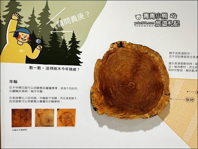 宜蘭景點》蘇澳森學苑巨大紅凳木椅子~還可以認識各種木頭的森林系觀光工廠 @青青小熊＊旅遊札記