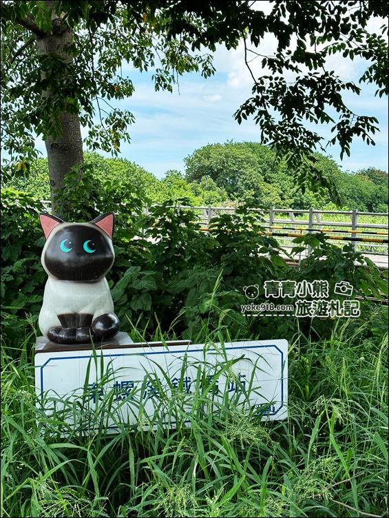 彰化景點》東螺溪鐵橋站貓咪火車．療癒系萌貓出沒，佔領了候車座位跟火車也太可愛 @青青小熊＊旅遊札記