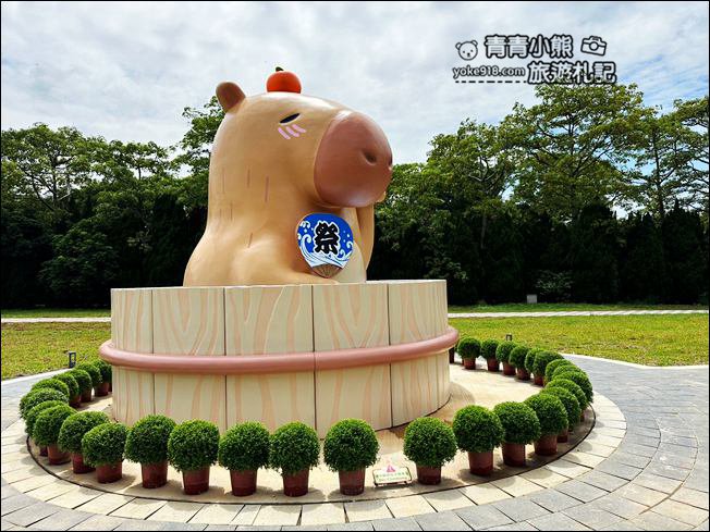 桃園景點》好可愛的萌萌村登場.大量萌寵出沒,水豚太療癒了 @青青小熊*旅遊札記