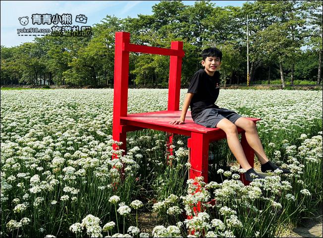 彰化景點》埤頭韭菜花田~幸福韭韭浪漫的九月雪,這裡也有韭菜花田 @青青小熊*旅遊札記 彰化景點》埤頭韭菜花田~幸福韭韭浪漫的九月雪,這裡也有韭菜花田 @青青小熊*旅遊札記
