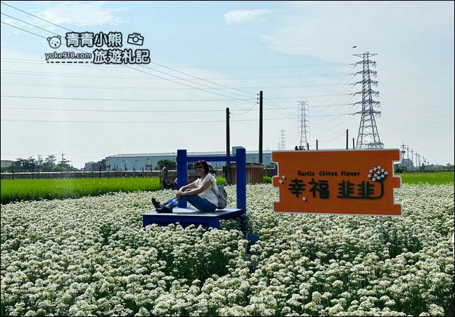 彰化景點》埤頭韭菜花田~幸福韭韭浪漫的九月雪,這裡也有韭菜花田 @青青小熊*旅遊札記 彰化景點》埤頭韭菜花田~幸福韭韭浪漫的九月雪,這裡也有韭菜花田 @青青小熊*旅遊札記