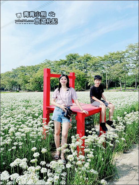 彰化景點》埤頭韭菜花田~幸福韭韭浪漫的九月雪,這裡也有韭菜花田 @青青小熊*旅遊札記 彰化景點》埤頭韭菜花田~幸福韭韭浪漫的九月雪,這裡也有韭菜花田 @青青小熊*旅遊札記